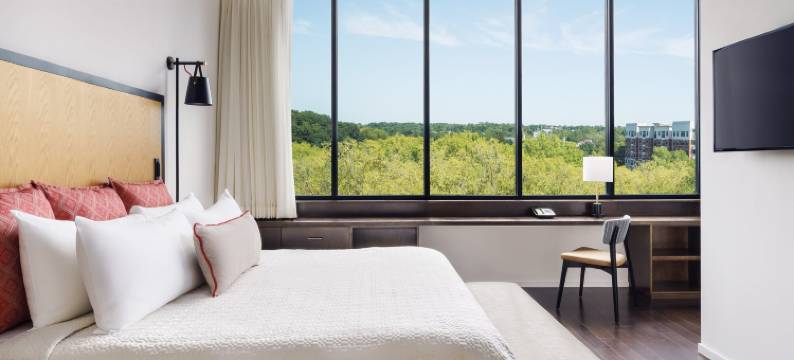 Hotel Indigo 雅典 - 大学区(Hotel Indigo ATHENS DOWNTOWN - UNIV AREA by IHG)图片