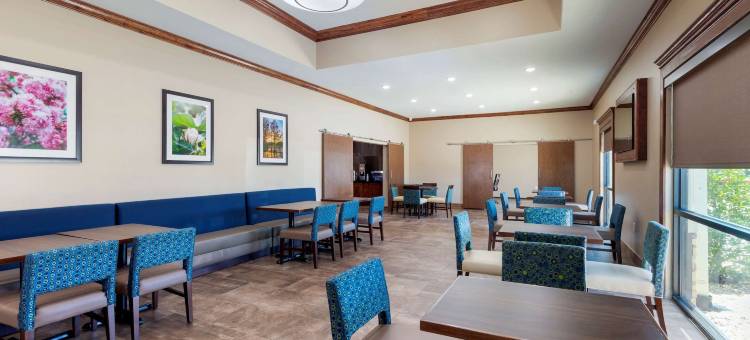 韦斯特门罗舒适套房伊克汉密尔顿博览中心附近(Comfort Suites West Monroe Near Ike Hamilton Expo Center)图片