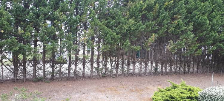 布里特酒店波尔多机场勒索雷泰尔店(Brit Hotel Bordeaux Aéroport - Le Soretel)图片