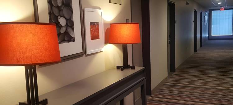 Ramada by Wyndham Houston Westchase(Ramada by Wyndham Houston Westchase)图片