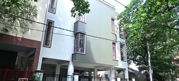 北方光环(Northern Aura)图片