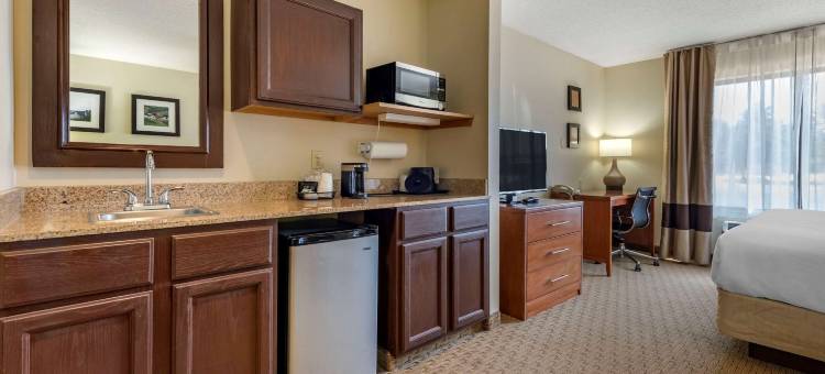 布莱克里弗福尔斯I-94舒适套房酒店(Comfort Inn & Suites Black River Falls I-94)图片