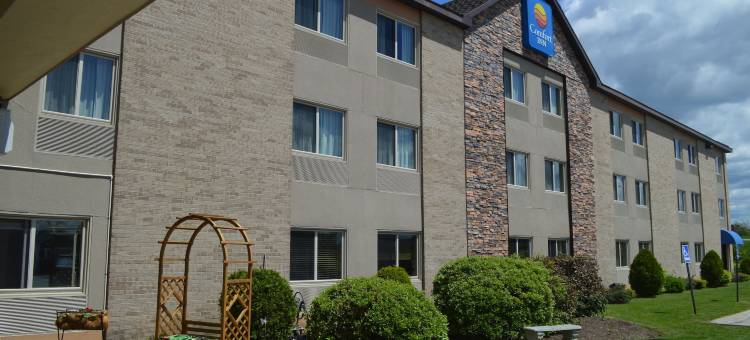 舒适酒店(Comfort Inn)图片