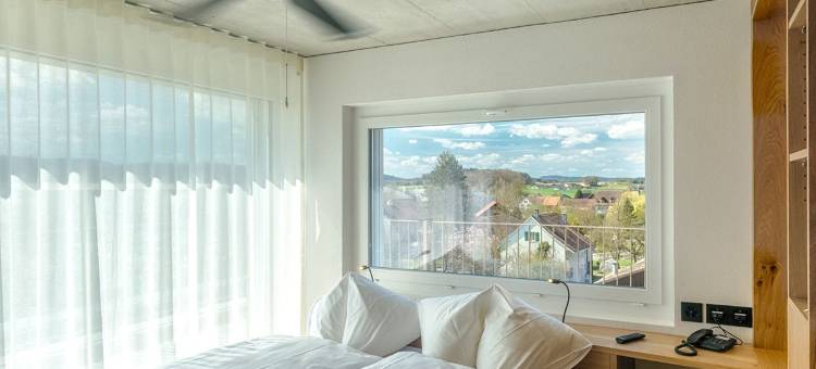 弗劳恩费尔德酒店(Hotel Frauenfeld)图片