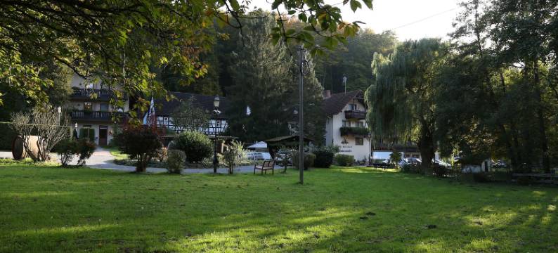 穆勒天堂酒店及餐厅(Hotel Restaurant Paradeismühle)图片