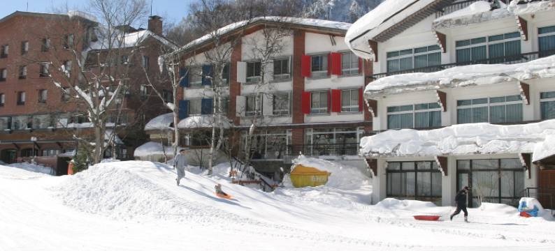 志贺高原高山别墅(Villa Alpen)图片