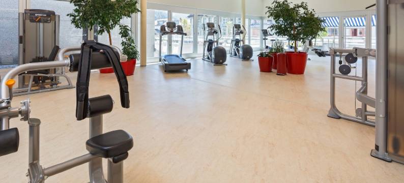 因特拉肯大都会酒店(Hotel Metropole Interlaken)图片