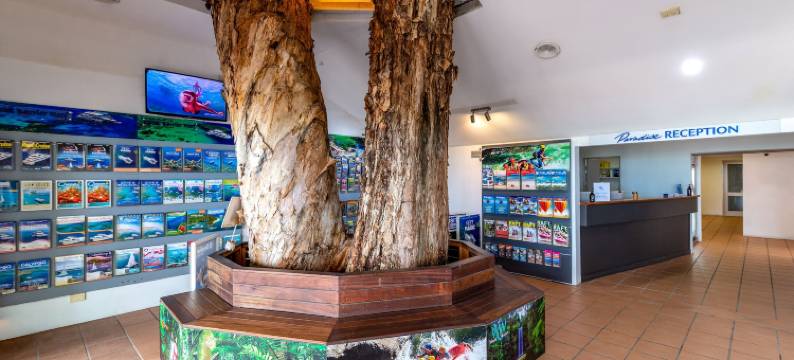 天堂海滩度假酒店(Paradise on the Beach Resort)图片