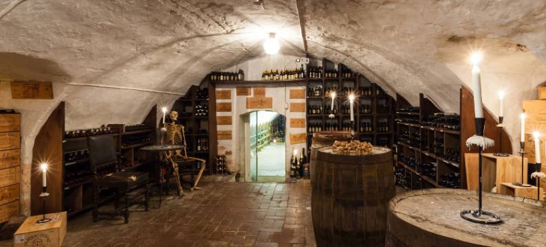 瓦斯泰纳Spa酒店(Vadstena Klosterhotell Konferens & Spa)图片