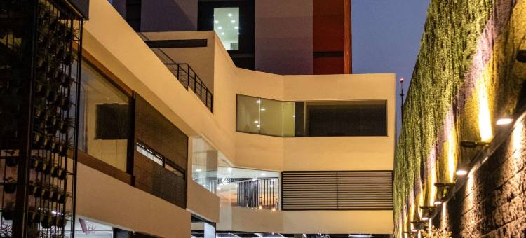 伊拉帕托舒适酒店(Comfort Inn Irapuato)图片