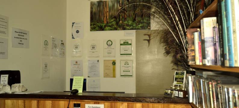 钻石林场农家乐(Diamond Forest Farm Stay)图片