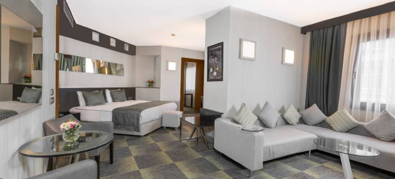 点塔克辛酒店(Point Hotel Taksim)图片