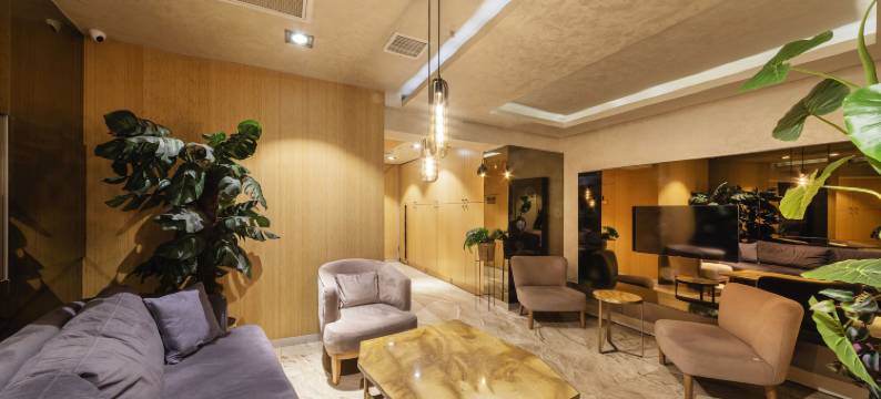 阿亚拉明豪华酒店(Ayramin Hotel Taksim)图片