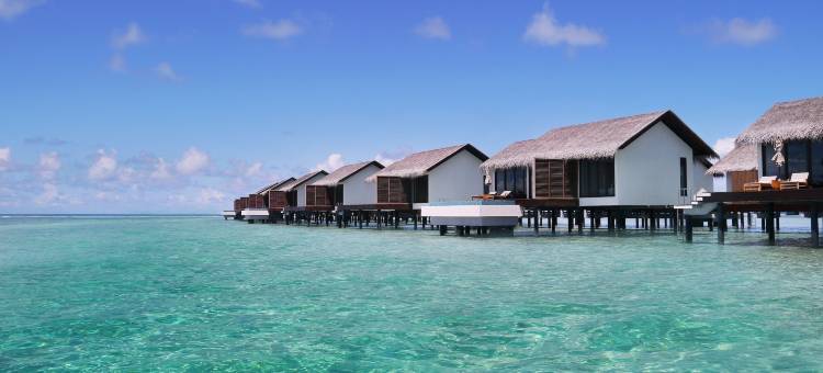 马尔代夫瑞僖敦法鲁玛福斯酒店(The Residence Maldives at Falhumaafushi)图片