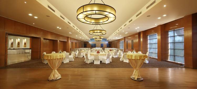 巴特那孔雀酒店(Hotel Maurya)图片