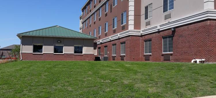 沃斯堡国际机场南丽怡酒店(Country Inn & Suites by Radisson, DFW Airport South, TX)图片