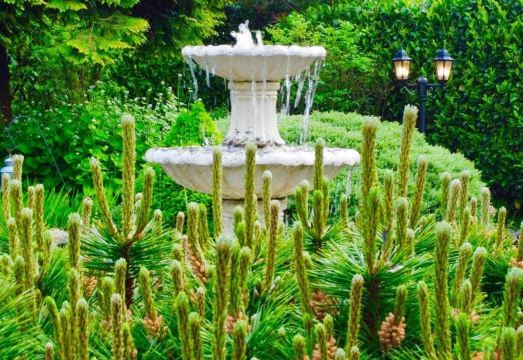 Storrs Gate HouseHotel Overview