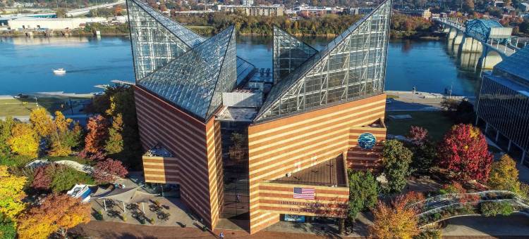 智选假日套房酒店查塔努加，望风MTN(Holiday Inn Express & Suites Chattanooga-Lookout Mtn)图片