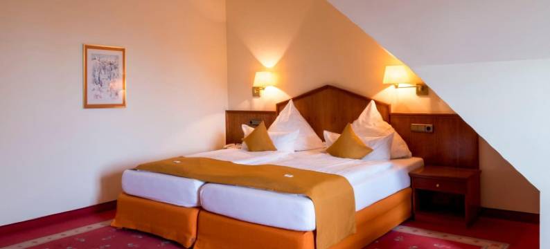 瑞恩湖贺瓦查特酒店(Ringhotel Hohe Wacht)图片