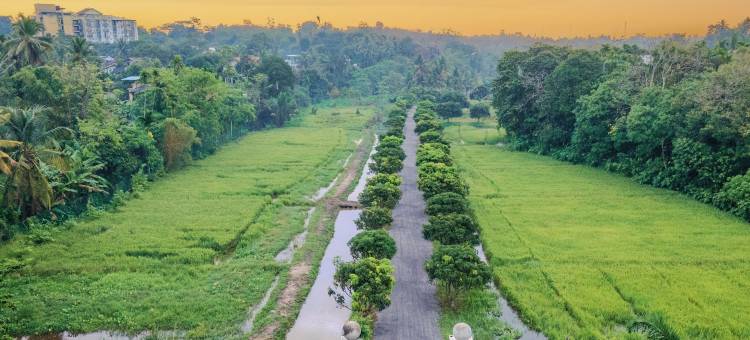 莲花庄园科伦坡(Lotus Estate Colombo)图片