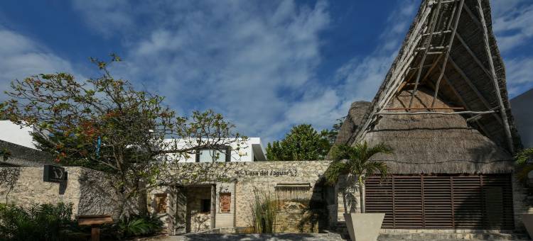 牙豹海滩酒店(Casa del Jaguar Beach Hotel)图片