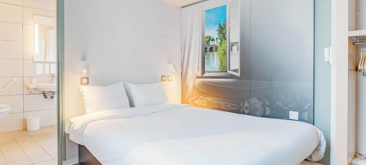 沙泰勒罗民宿酒店(B&B Hotel Chatellerault)图片