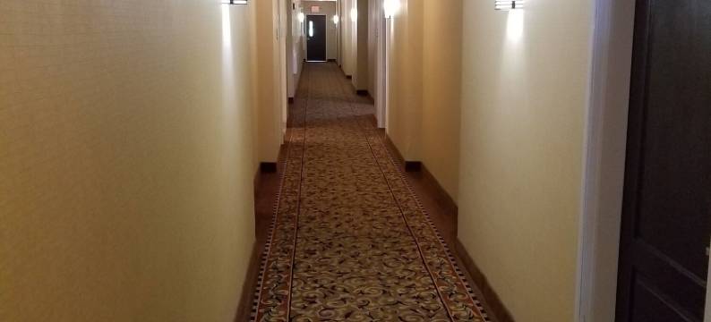 尤宁城拉昆塔温德姆套房酒店(La Quinta Inn & Suites by Wyndham Atlanta-Union City)图片