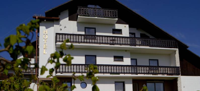 钢尼酒店和度假公寓Seeschlößchen(Garni Hotel & Ferienwohnungen Seeschlößchen)图片