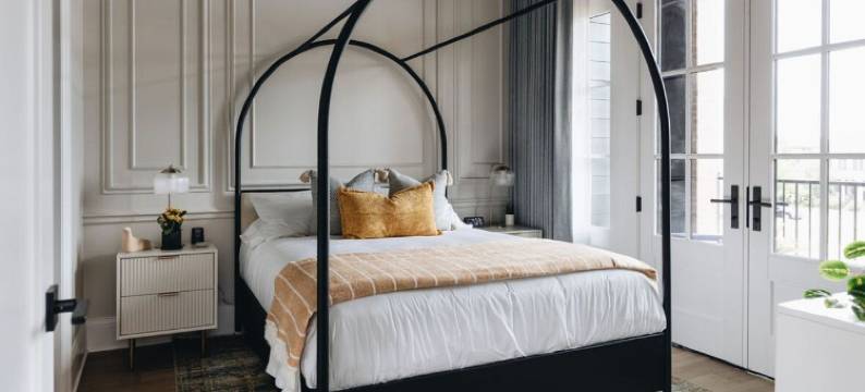 紫马丁(The Purple Martin - the Perch)图片