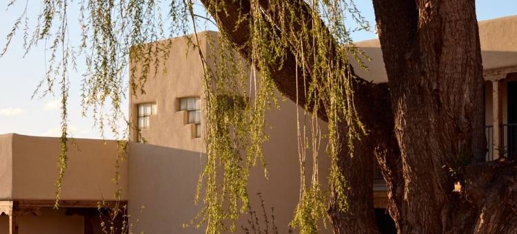 维拉酒店(Hotel Willa)图片