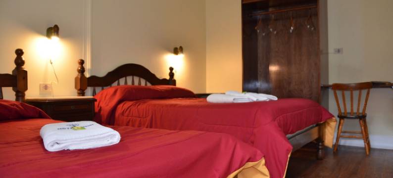 罗米酒店(Hotel Romi)图片