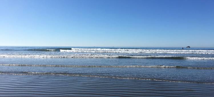 北岸旅馆(North Coast Inn)图片