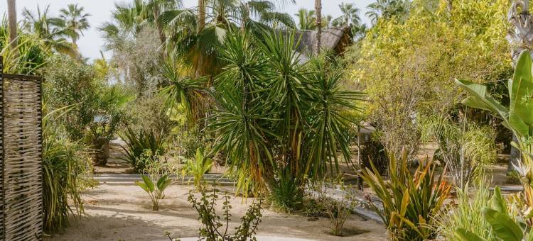 La Poza精品酒店和Spa(La Poza Boutique Hotel & Spa - Adults Only)图片