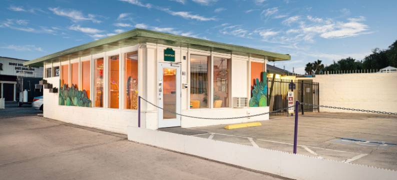 Bungalows旅馆(Bungalows Hostel)图片