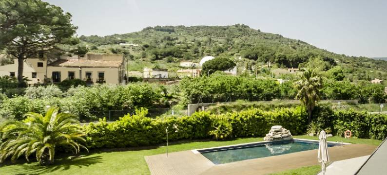 克里索尔塞尔瓦(Crisol la Selva)图片