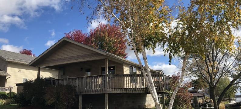 河边(Rivers Edge)图片