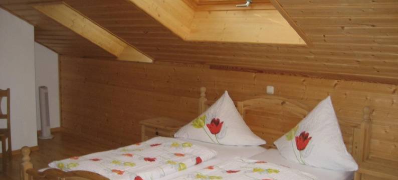 布罗肯穆勒酒店(Hotel Brückenmühle)图片