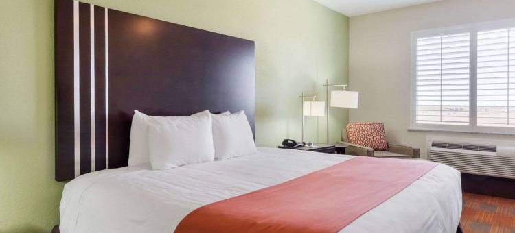 IHG旗下维多利亚酒店(HOTEL VICTORIA by IHG)图片