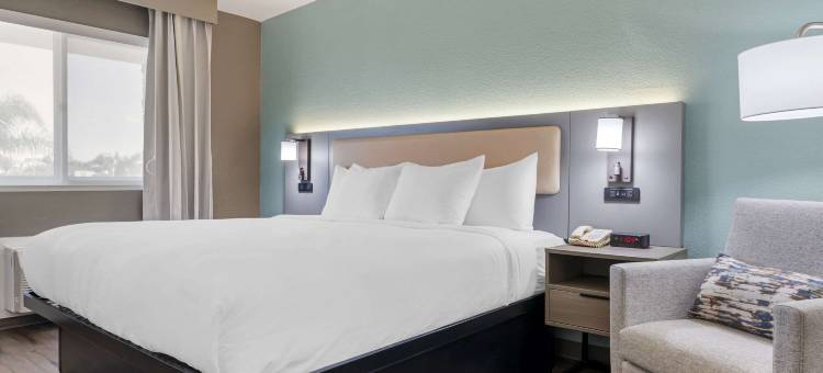 海洋世界区舒适酒店(Comfort Inn SeaWorld Area)图片