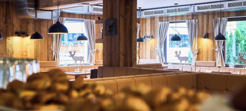 高山巢穴酒店(Hotel Alpennest)图片