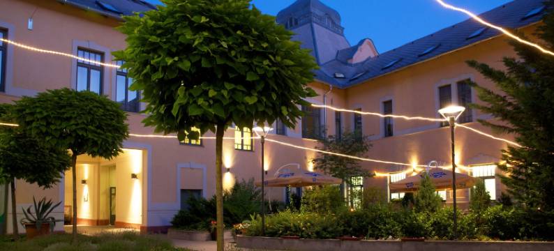 伊里泽贝特吉拉伊酒店(Erzsebet Kiralyne Hotel)图片