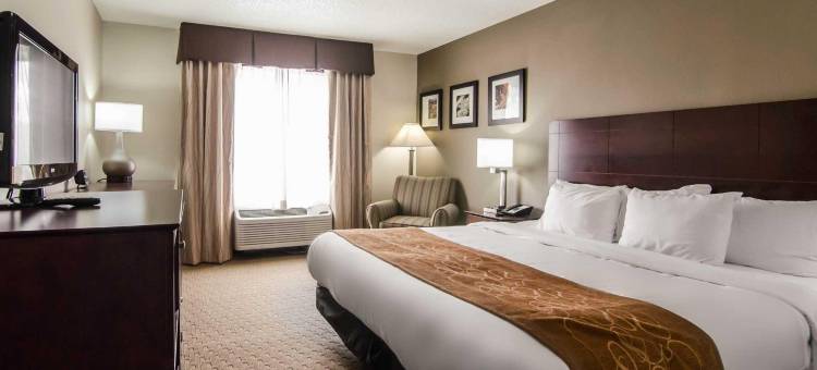 圣约瑟夫品质套房酒店(Quality Suites St. Joseph)图片