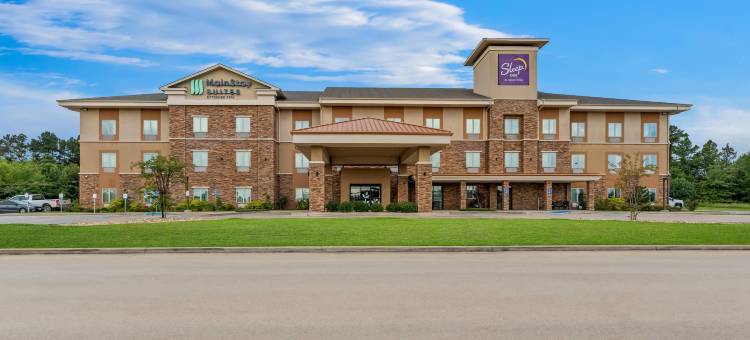 拉夫金美茵斯坦套房酒店(MainStay Suites Lufkin)图片