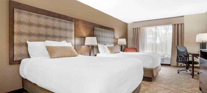 加登戴尔贝斯特韦斯特优质酒店(Best Western Gardendale)图片