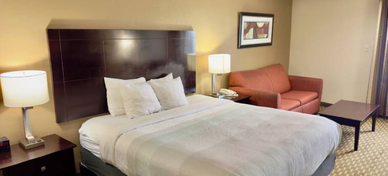 派恩布鲁夫凯艺套房酒店(Quality Inn & Suites Pine Bluff)图片