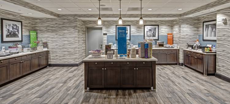 古德利茨维尔纳什维尔欢朋套房酒店(Hampton Inn & Suites Nashville/Goodlettsville)图片