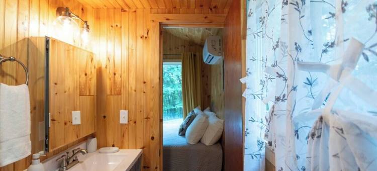 Remote Tiny Cabin & Hiking!图片