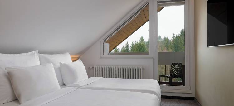 哈拉霍夫斯克拉奥雷阿度假村(Orea Resort Sklář Harrachov)图片