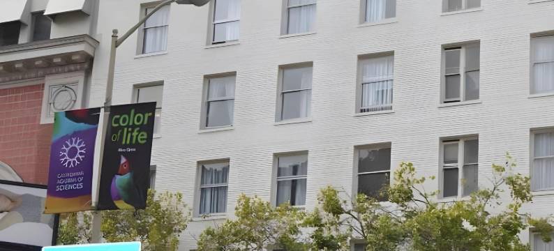 SF广场酒店(SF Plaza Hotel)图片