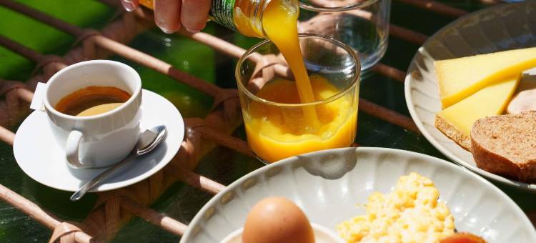 波尔多沙特龙美居酒店(Hôtel Mercure Bordeaux Château Chartrons)图片